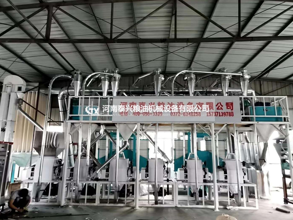 貴州威寧草海日處理30噸蕎麥加制粉設備